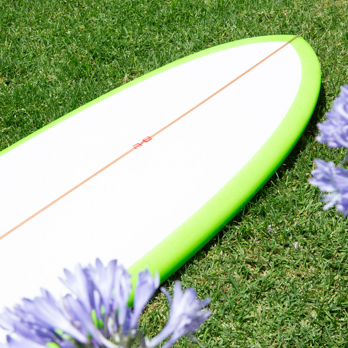 gH ~ 6&#39;4” ROACH