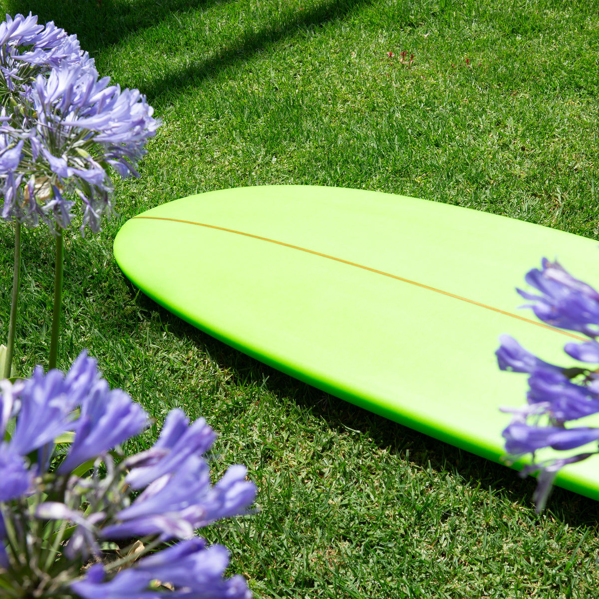 gH ~ 6&#39;4” ROACH