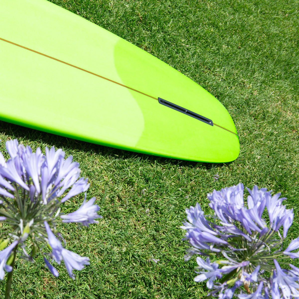 gH ~ 6&#39;4” ROACH