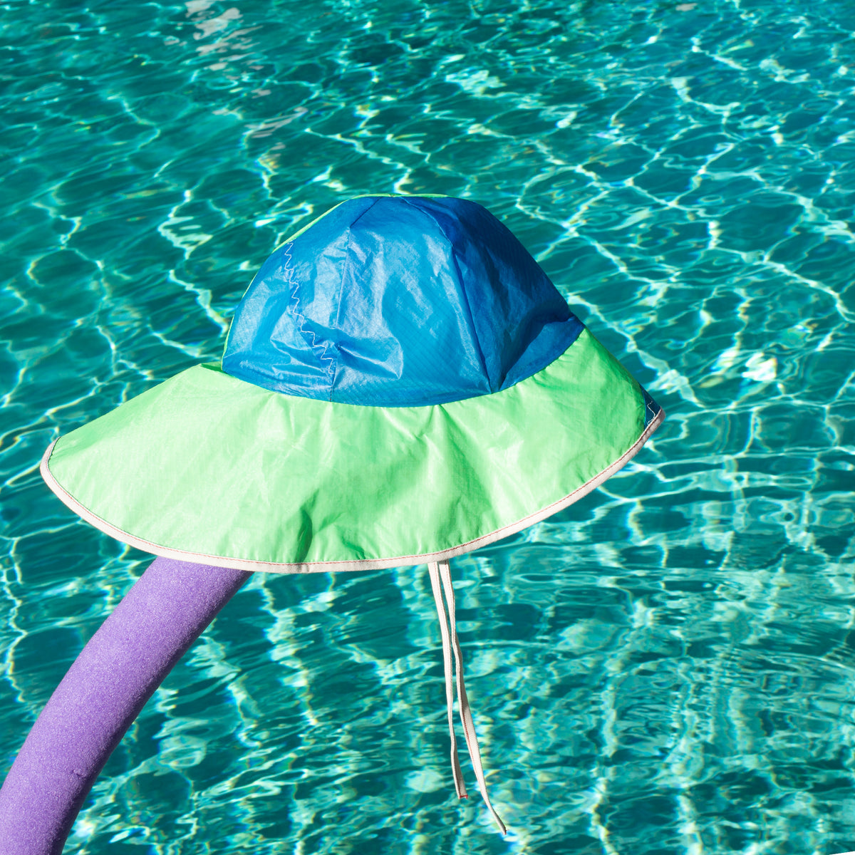 gH~ CAT FISH