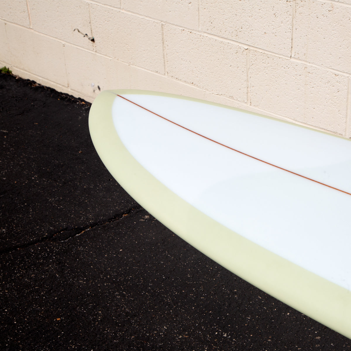 gH ~ 6&#39;10&quot; ROACH